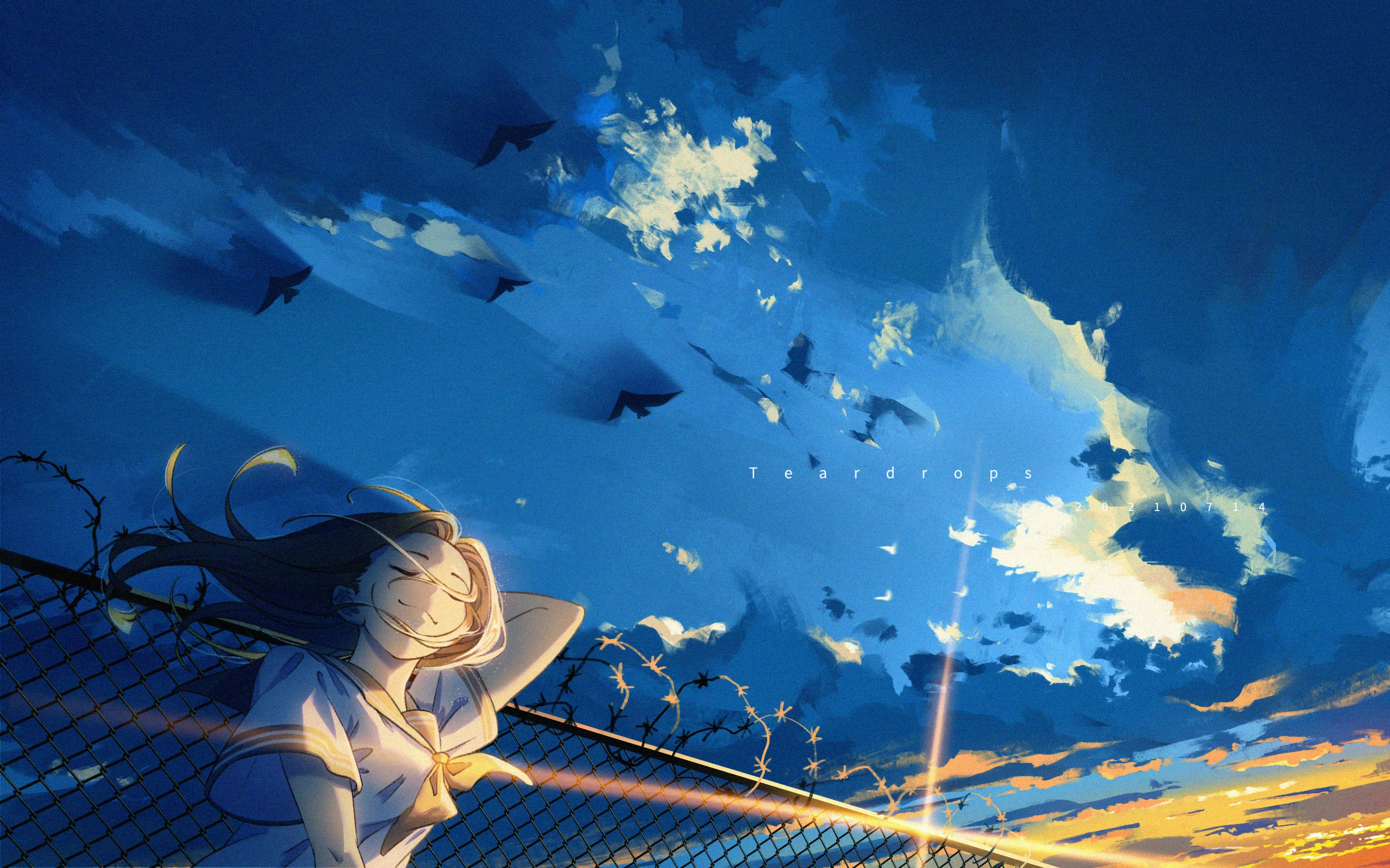 large picture of the cover